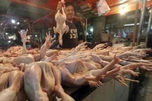 Harga Daging Ayam Indramayu Merangkak Naik