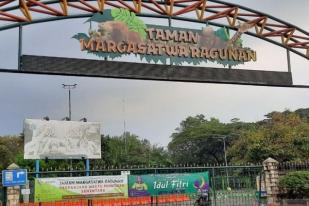 Kebun Binatang Ragunan Buka Kembali 20 Juni 2020