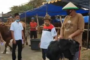 Pedagang Hewan Kurban Tawarkan Bonus Kambing Selama Pandemi