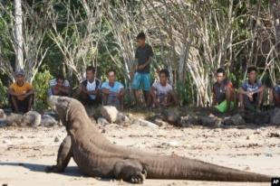 5.719 Wisatawan ke Pulau Komodo dalam Tiga Bulan