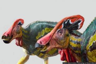 Peneliti Meksiko Temukan Dinosaurus Spesies Baru