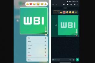 WhatsApp Siapkan Fitur Reaksi Emoji Pesan