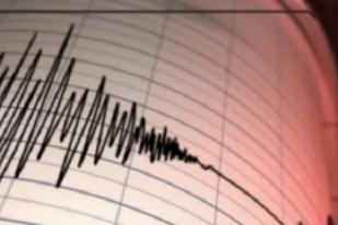 Gempa Magnitudo 4.6 Guncang Manokwari Selatan