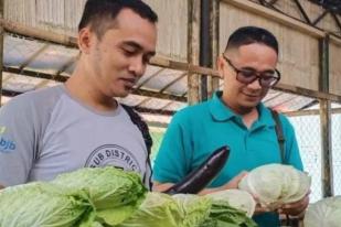 Program Pojok Sayuran Bantu Sejahterakan Petani Sukabumi