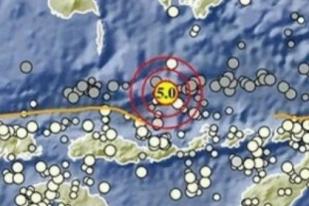 Gempa Magnitudo 5,0 Guncang Barat Laut Maumere NTT