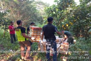 Lampung Lepas 2.509 Burung Sitaan di Hutan Way Pisang