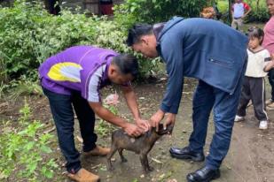 Sukabumi Tangani 73 Kasus Gigitan Hewan Penular Rabies