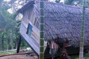 Gajah Liar Obrak-abrik Kebun Warga Aceh Barat