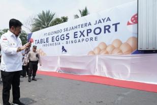 RI Ekspor Telur Ayam Rp1,15 Miliar ke Singapura