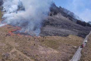 Wisata ke Gunung Bromo Ditutup Sementara