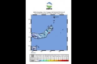 Gempa 5,6 Magnitudo Guncang Toli-toli