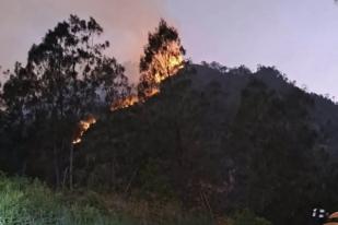 Lereng Gunung Panderman Terbakar