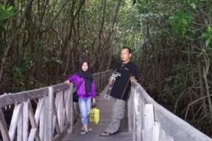 Taman Wisata Mangrove Tongke-Tongke Jadi Andalan Sulsel