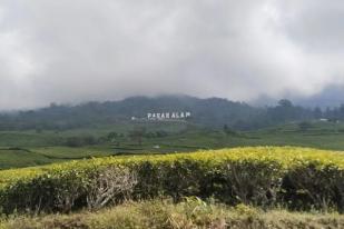 Seorang Pendaki Meninggal di Gunung Dempo Sumsel