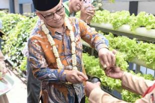 Wamendikdasmen: Sekolah Perlu Gali Kecerdasan Unik Siswa