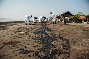 Sejumlah Muara Sungai di Karawang Masih Tercemar Limbah Minyak Mentah