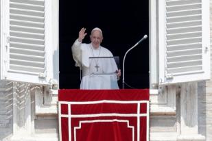 Paus Fransiskus Serukan Komitmen Global Atasi Kebakaran Amazon