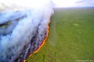 Brasil Tolak Bantuan Kebakaran Hutan G7 Senilai 20 Juta Dolar