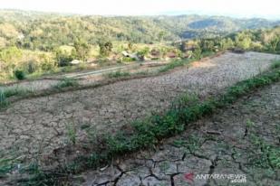 Kekeringan, 90 Persen Lahan di Desa di Bantul Tidak Dapat Ditanami