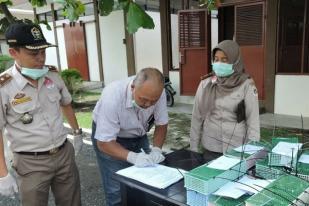 BBKSDA Melepas Liarkan Puluhan Burung di Sibolangit