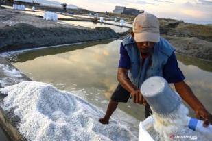 Petani Garam Palu Keluhkan Harga Anjlok