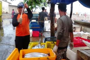 Nelayan Pantai Jayanti Keluhkan Harga Ikan Merosot Tajam