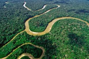 Pantau Hutan Amazon, Brasil Bangun Menara Observasi Raksasa