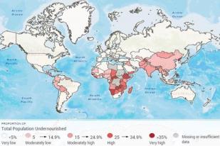 Hari Pangan Sedunia, FAO Petakan Kondisi Seluruh Negara