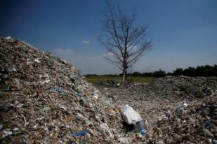 Partikel Sisa Sampah Plastik Ditemukan dalam Telur Ayam di Indonesia