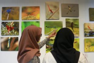 Pameran Seni Foto: Dragonfly, Pengetahuan dan Citra