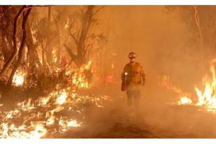 Negara Bagian NSW Australia Nyatakan Keadaan Darurat Kebakaran Hutan