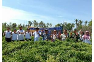 Kulon Progo Pesisir Selatan Jadi Sentra Hortikultura