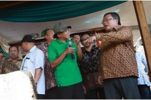 Indonesia Menuju Swasembada Minyak Kayu Putih 