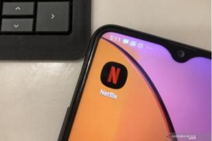 Netflix Diblokir, Menkominfo Serahkan pada Perusahaan