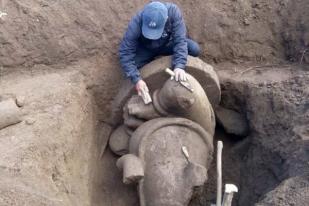 Temuan Arca Ganesha di Dieng Wetan Siap Dipindahkan