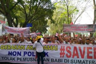 Ribuan Orang Gelar Aksi Damai Tolak Pemusnahan Babi 