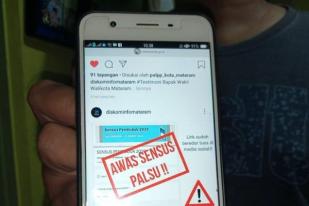 BPS Ingatkan Waspada Link Palsu Sensus Penduduk