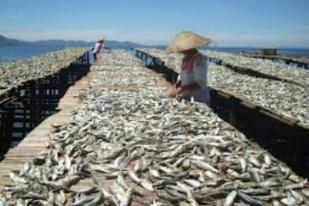KIARA: Negara Serobot Hak Nelayan Tradisional