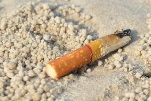 Rokok dan Pembungkus Makanan, Polutan yang Sering Dijumpai di Laut