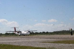 Belalang Kembara Penuhi Landasan Bandara Sumba Timur