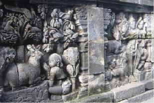 LIPI Identifikasi 52 Spesies Famili Satwa di Candi Borobudur