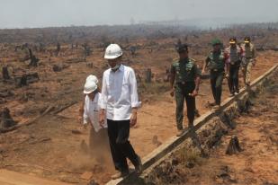 Kebakaran Lahan Gambut, Presiden: Masak Tiap Tahun TNI/POLRI