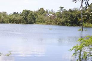 Peneliti Selidiki Danau Baru Setelah Siklon Seroja di Kupang