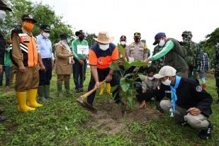 BNPB: RI Butuh Jutaan Pohon untuk Pantai