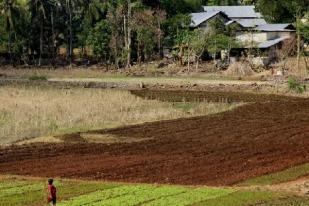 Danau Akibat Siklon Seroja NTT Kembali Mengering