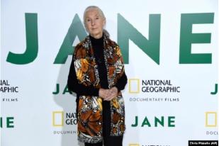 Refleksi Konservasionis Jane Goodall tentang Alam-Spiritualitas