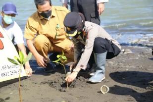 Pantai Trisik Ditanami 1.000 Mangrove