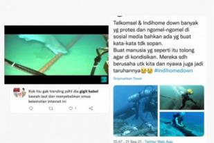 Hoaks Foto Video Hiu Penyebab Putusnya Kabel Internet