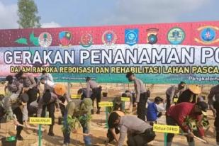 Lahan Bekas Tambang Timah Babel Ditanami 7.410 Pohon