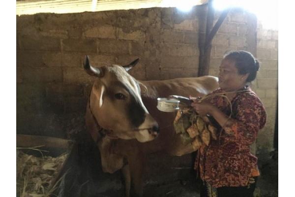 Kartini Kendeng Ngalungi Indonesia Satu Harapan